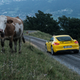 Illustration for article titled The Most Gorgeous Photos Of A Porsche Cayman You Will Ever See